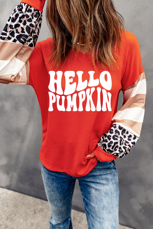 Pumpkin Graphic Leopard Striped Colorblock Sleeve V Neck Top